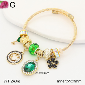 F2BA41205vbpb-J39  Fashion Bangle