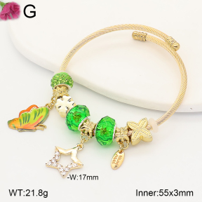 F2BA41206vbpb-J39  Fashion Bangle