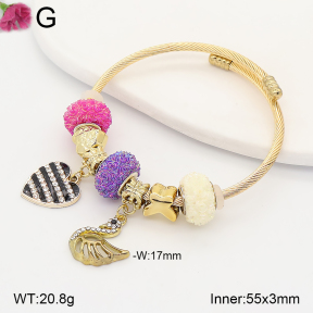 F2BA41208vbpb-J39  Fashion Bangle