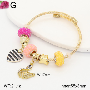 F2BA41209vbpb-J39  Fashion Bangle