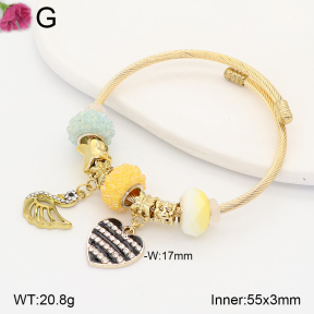 F2BA41210vbpb-J39  Fashion Bangle