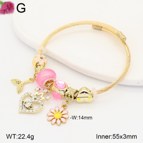 F2BA41211vbpb-J39  Fashion Bangle