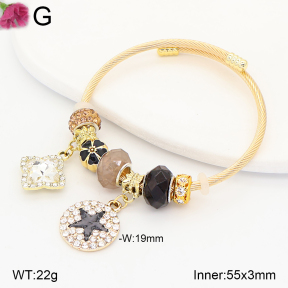 F2BA41214vbpb-J39  Fashion Bangle