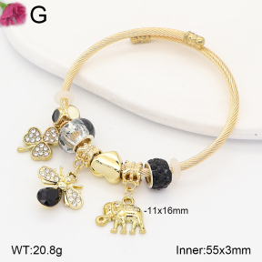 F2BA41215vbpb-J39  Fashion Bangle