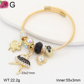 F2BA41216vbpb-J39  Fashion Bangle