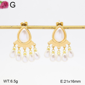 F2E301470vbmb-J158  Fashion Earrings
