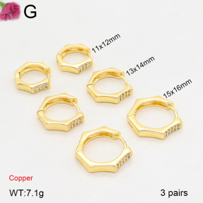 F2E402443vhhl-J202  Fashion Copper Earrings