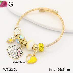 TZ2000628vbpb-J39  Fashion Bangle
