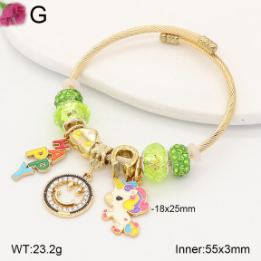 TZ2000629vbpb-J39  Fashion Bangle