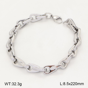 2B2006300vhmv-214  Stainless Steel Bracelet