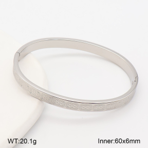 2BA202913vbpb-214  Stainless Steel Bangle