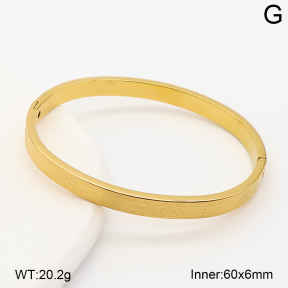 2BA202914bhva-214  Stainless Steel Bangle