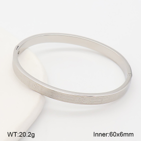 2BA202915vbpb-214  Stainless Steel Bangle