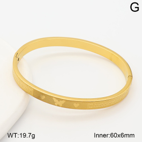 2BA202916bhva-214  Stainless Steel Bangle