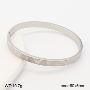 2BA202917vbpb-214  Stainless Steel Bangle