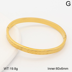 2BA202920bhva-214  Stainless Steel Bangle