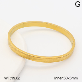 2BA202922bhva-214  Stainless Steel Bangle
