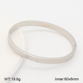2BA202923vbpb-214  Stainless Steel Bangle