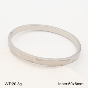 2BA202925vbpb-214  Stainless Steel Bangle