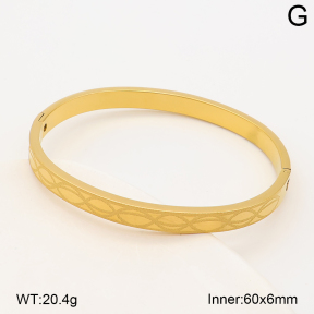 2BA202926bhva-214  Stainless Steel Bangle
