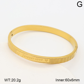 2BA202932bhva-214  Stainless Steel Bangle