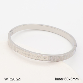 2BA202933vbpb-214  Stainless Steel Bangle