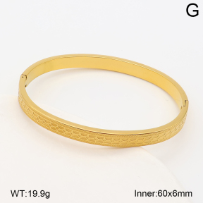 2BA202936bhva-214  Stainless Steel Bangle