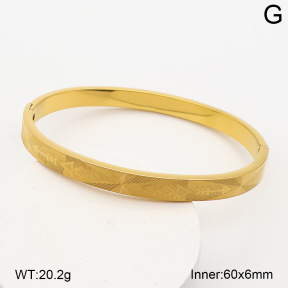 2BA202938bhva-214  Stainless Steel Bangle