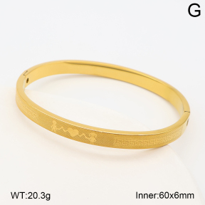 2BA202940bhva-214  Stainless Steel Bangle