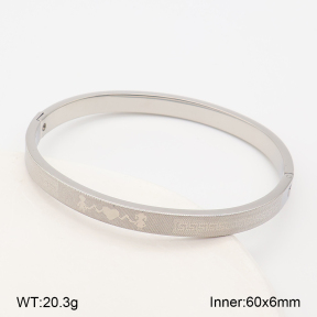 2BA202941vbpb-214  Stainless Steel Bangle