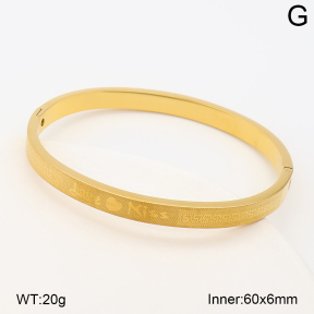 2BA202942bhva-214  Stainless Steel Bangle