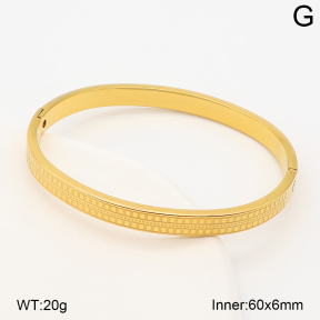 2BA202944bhva-214  Stainless Steel Bangle