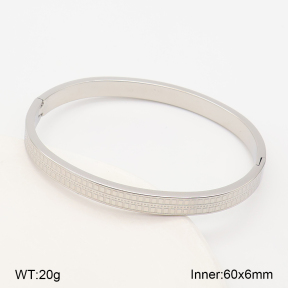 2BA202945vbpb-214  Stainless Steel Bangle