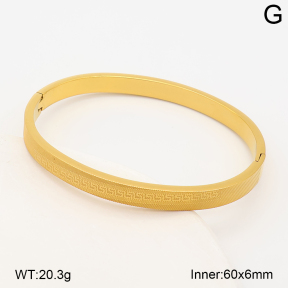 2BA202946bhva-214  Stainless Steel Bangle