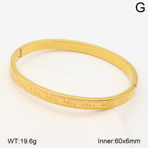 2BA202948bhva-214  Stainless Steel Bangle