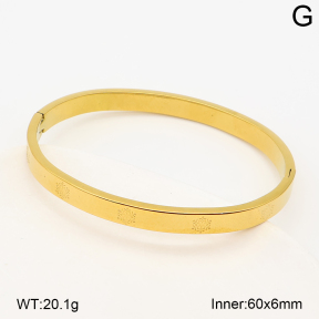 2BA202954bhva-214  Stainless Steel Bangle