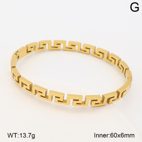 2BA202956vhha-214  Stainless Steel Bangle