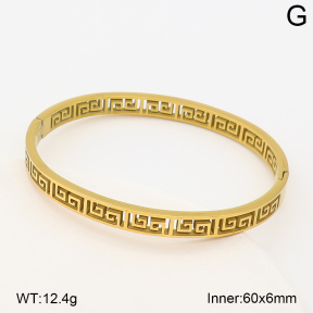 2BA202960vhkb-214  Stainless Steel Bangle