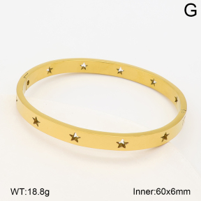 2BA202968bhva-214  Stainless Steel Bangle