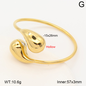 2BA202972vhmv-214  Stainless Steel Bangle