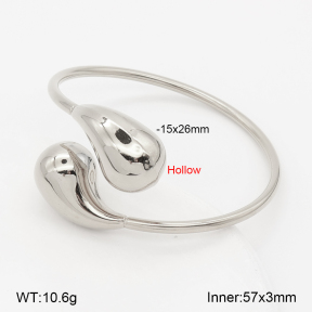 2BA202973ahlv-214  Stainless Steel Bangle