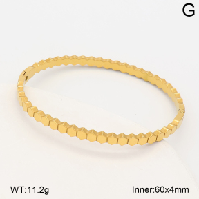 2BA202974bhva-214  Stainless Steel Bangle