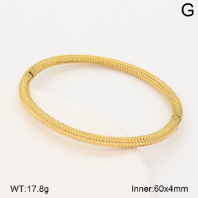 2BA202976ahjb-214  Stainless Steel Bangle