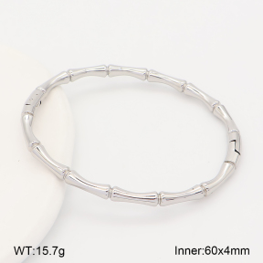 2BA202979vhha-214  Stainless Steel Bangle