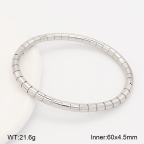 2BA202983vhha-214  Stainless Steel Bangle