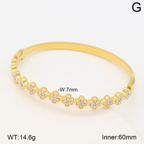 2BA403130ahlv-214  Stainless Steel Bangle