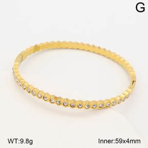 2BA403147bhia-214  Stainless Steel Bangle