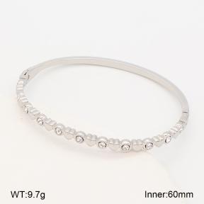 2BA403150vhha-214  Stainless Steel Bangle