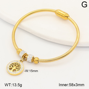 2BA403184vhmv-214  Stainless Steel Bangle