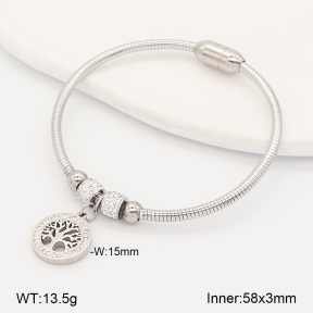 2BA403185vhkb-214  Stainless Steel Bangle